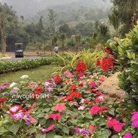 Chỉ 10, 5 Triệu/M Sở Hữu Ngay 396M2 Tại Phú Mãn, Quốc Oai