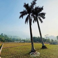 Chỉ 10, 5 Triệu/M Sở Hữu Ngay 396M2 Tại Phú Mãn, Quốc Oai
