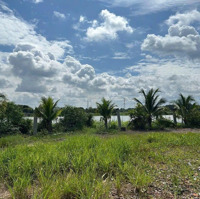 Bán Đất Vườn Mặt Tiền Bờ Bao Sông Sài Gòn. Có Vườn Trái Cây Sầu Triêng, Chôm Chôm, Măng Cụt...
