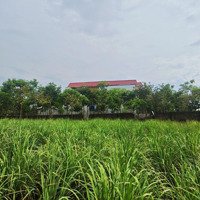 Cần Bán Đất Đẹp Tại Hòa Thạch Quốc Oai Hà Nội
Diện Tích: 174M (Trong Đó Có 100M Thổ Cư)