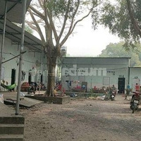 Bán Đất Tại Trần Ngọc Lên, 71,688 Tỷ, 8961 M2, Giá Siêu Hời, View Đẹp