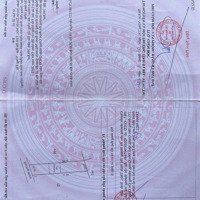 10X51 100 Thổ Cư Đường Nhựa Thông Cách Biển 3Km