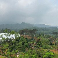 Lô Đất Nghỉ Dưỡng Xã Ba Vì,Ba Vì,Hn,Mặt Tiềngần 100M,View Núi Và Cánh Đồng Bát Ngát,Cách Tl415 Chỉ 700M