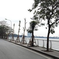 Siêu Phẩm! Tây Hồ Mặt Phố Nguyễn Đình Thi View Hồ Tây 222M2*4T*Mặt Tiền12M, Chỉ 145 Tỷ