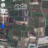 Cam Đức -- 4148 M2 -- Giá Chỉ 1 Tỷ 660