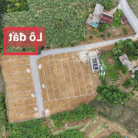 Bán Đất Lô Góc 235M2 Sát Vách Kcn Thạch Quảng, Thạch Thành, Thanh Hóa. Giá Bán 195 Triệu
