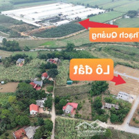 Bán Đất Lô Góc 235M2 Sát Vách Kcn Thạch Quảng, Thạch Thành, Thanh Hóa. Giá Bán 195 Triệu