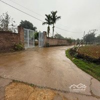 Lô Đất F0 Minh Quang, 2.170M² Gần Tl414 & 415 Phù Hợp Làm Homestay, Nhà Vườn!