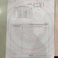 Chính Chủ Bán Hai Lô Liền Kề Đất Đấu Giá Phường Hoa Động Trung Tâm Thành Phố Thuỷ Nguyên Hp