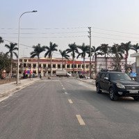 Chính Chủ Bán Hai Lô Liền Kề Đất Đấu Giá Phường Hoa Động Trung Tâm Thành Phố Thuỷ Nguyên Hp