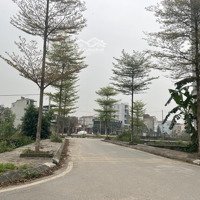 Bán Đất Nền 67.5M2, 126 Triệu/M2 Đấu Giá Cây Sung Đan Phượng, Hà Nội