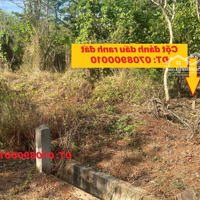 Đất Nền Mặt Tiền Đường Chính Ra Ngã 6 Cây Me Xã Đá Bạc - Châu Đức Chỉ 400M