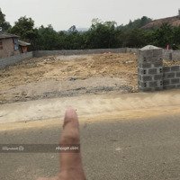 Siêu Phẩm 447M2Mặt Tiềntrên 13M, Trục Chính Đồng Bèn-Đông Xuân - Quốc Oai
Chỉ 20 Triệu/M Thôi Ạ