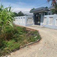 Bán Đất Có Nhà Ở Võ Cang Vĩnh Trung, Nha Trang .Diện Tích522M2 , Thổ Cư 313M2 . Giá 4,6 Tỉ Còn Tl