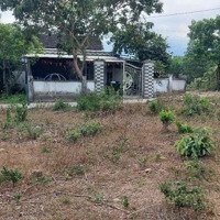 Đất Xây Nhà Vườn 300M2 Đất Ở Toàn Bộ 2 Mặt Kiệt Ngang 17,8M.