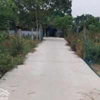 Đất Xây Nhà Vườn 300M2 Đất Ở Toàn Bộ 2 Mặt Kiệt Ngang 17,8M.
