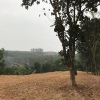 (View Suối) Đất 551M2 Mặt Đường Hồ Chí Minh, Cách Hoà Lạc 40P Chỉ 2,2 Tỷ