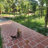 Cần Bán 4000M2 Mặt Tiền Nguyen Dinh Chieu Phuong Hàm Tiến ,Giá Ngộp