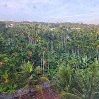 Cần Bán 2,7 Ha Đất Nông Nghiệp Xã Hòa Thắng ,Vew Biển Trên Cao Tháy Apec Và Biển Hòa Thắng ,