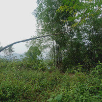 Lô Đất Khánh Thượng,Ba Vì,Hn. View Núi Non Trùng Điệp, Cánh Đồng Xanh Bát Ngát, Cách Tl414 Chỉ 500M