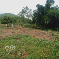 Lô Đất Khánh Thượng,Ba Vì,Hn. View Núi Non Trùng Điệp, Cánh Đồng Xanh Bát Ngát, Cách Tl414 Chỉ 500M