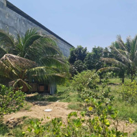 Bán 500M2 Đất Cln Được Phép Lên Odt