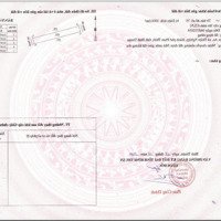 Đất Nền Tại Trần Bình Trọng, Xã Thiện Nghiệp, Phan Thiết, Bình Thuận, 1000M2, Giá Bán 1,5 Tỷ