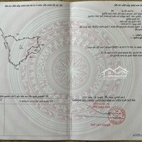 Đất Trồng Cây Lâu Năm, Tổng Diện Tích: 8889M2, Tại Thị Trấn Đinh Văn, Giá Bán 250 Triệu / 1 Sào