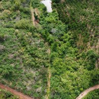 Đất Trồng Cây Lâu Năm, Tổng Diện Tích: 8889M2, Tại Thị Trấn Đinh Văn, Giá Bán 250 Triệu / 1 Sào
