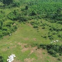 View Đẹp Tại Tiến Xuân, Thạch Thất 4500M/200M Thổ Cư Giá Chưa Đến 4 Triệu/M