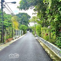 Đất Tân An Đường Nhựa 5M, 16X40 Thổ Cư 75M Tặng Luôn Vườn Măng Cụt Đẹp Mê Giá Rẻ Chưa Đến 3 Tỷ Nữa