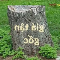 F0 Xâm Xuyên - Hồng Vân, Thường Tín - Giá Đầu Tư, Trục Chính Đường Thông, Ô Tô Tránh, Cách Vành Đa