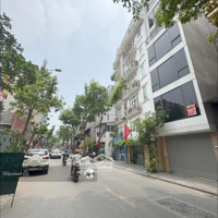 Bán Nhà Mp Nguyễn Ngọc Nại, Vỉa Hè, Kinh Doanh, 98M X8 Nổi 1 Hầm, Đầy Đủ Hoàn Công, Pccc