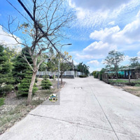 Bán Đất 165M2 Tại Bờ Huệ, An Phú Tây, Bình Chánh, 730 Triệu. Shr, Full Thổ.