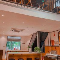 Cho Thuê Mbkd Đường Hai Bà Trưng - Hoàn Kiếm, 110M X 3 Tầng, Mặt Tiền 10M