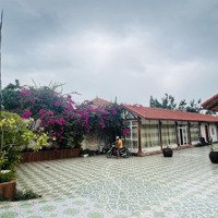Bán Đất Tặng Nhà Khu Biệt Thự Tại Đồi Ngọc Tước, Phường Thắng Tam, Tp Vũng Tàu, 707,4M2, Giá Bán 56Tỷ
