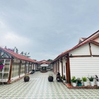 Bán Đất Tặng Nhà Khu Biệt Thự Tại Đồi Ngọc Tước, Phường Thắng Tam, Tp Vũng Tàu, 707,4M2, Giá Bán 56Tỷ