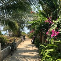 Bán 1087M2 Đất Ở Mặt Biển An Bàng Hội An