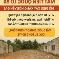 Bán Đất Mặt Tiền Quốc Lộ 80 Đối Diện Cây Xăng Nguyễn Đạt 300M Thổ Cư Cơ Hội Sinh Lời Lớn