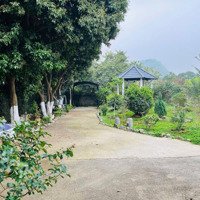 Biệt Thự Nhà Vườn Đẹp Rẻ Tại Lương Sơn, Hoà Bình