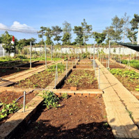 Bán Đất Thổ Cư 125M2 Tại Phường An Hòa Tp Biên Hòa Giá Chỉ 1,72 Tỷ