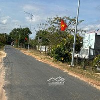 Bán 602M2 Đất Mặt Tiền Đinh Công Tráng, Thị Xã Lagi Gần Biển Tam Tân Chỉ 2. 5 Triệu/M2 Rẻ Hơn Đất Hẻm
