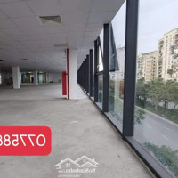Cho Thuê Stm Võ Chí Công Cầu Giấy, 1000M X 4 Tầng, Mặt Tiền 45M, Thuê Theo M2