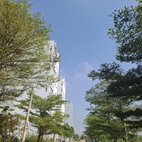 Bán Đất Nền Dự Án Green City, 21 Triệu / M2, 200M2, Điện Ngọc, Điện Bàn, Quảng Nam
