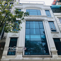 Chính Chủ Bán Nhà Mp Trần Thái Tông 168 M2 X 7 T Xmặt Tiền7 M X Giá Nhỉnh 80 Tỷ. Tòa Vp, Dòng Tiền Ổn