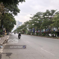 Chính Chủ Bán Nhà Mp Trần Thái Tông 168 M2 X 7 T Xmặt Tiền7 M X Giá Nhỉnh 80 Tỷ. Tòa Vp, Dòng Tiền Ổn