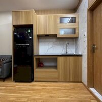 Bán căn hộ tầng 2 Tập Thể Nam Thành Công (20 Láng Hạ) 50m2 , full nội thất,