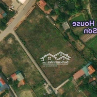 Bán Cá Voi Tại Minh Phú Sóc Sơndiện Tích4000 M, 2 Mặt Tiền, Đường 15 M Giâ 27 Triệu/1 M.