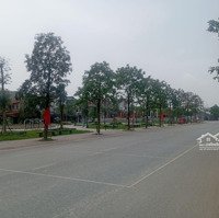 Chính Chủ Gửi Bán Mảnh Đất Đẹp Vin Tàm Xá. Đông Anh. Hà Nội