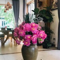 Chính Chủ Cần Bán Biệt Thự Song Lập Hoa Phượng 6 - Liên Hệ: 0978 585 140